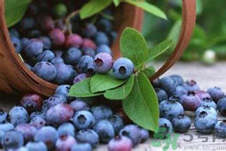 藍(lán)莓是不是發(fā)物？藍(lán)莓是發(fā)物嗎？