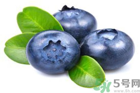 孕婦可以吃藍莓嗎？孕懷孕可以吃藍莓嗎？
