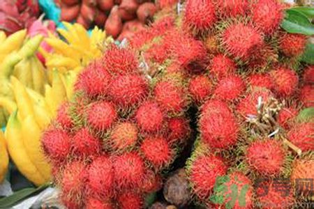 寶寶可以吃紅毛丹嗎？寶寶多大了可以吃紅毛丹？