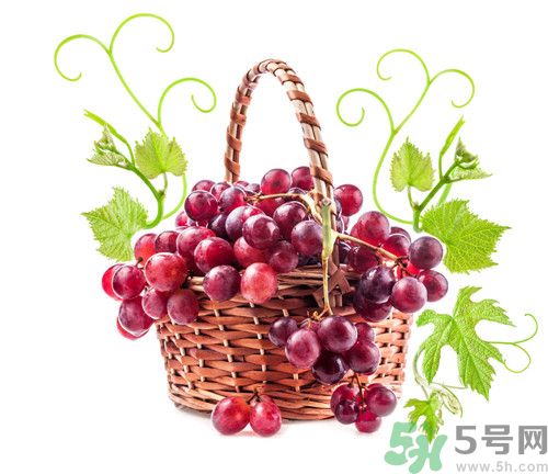 吃提子會拉肚子嗎?吃提子拉肚子怎么辦 吃提子會拉肚子嗎?吃提子拉肚子怎么辦