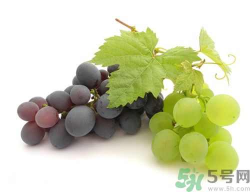 吃提子會拉肚子嗎?吃提子拉肚子怎么辦 吃提子會拉肚子嗎?吃提子拉肚子怎么辦