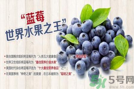 衣服上面染上了藍(lán)莓汁怎么辦？藍(lán)莓漬怎么清洗？