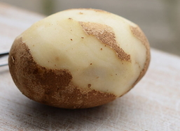 扁豆可以和土豆一起吃嗎?扁豆能和土豆同吃嗎? 扁豆可以和土豆一起吃嗎?扁豆能和土豆同吃嗎?