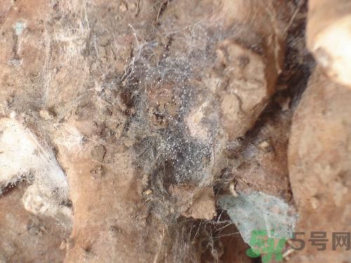 山藥皮發(fā)霉還能吃嗎? 山藥皮發(fā)霉還能吃嗎?