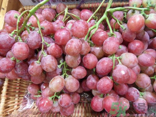 孕婦可以吃紅提子嗎?孕婦吃紅提對胎兒好嗎 孕婦可以吃紅提子嗎?孕婦吃紅提對胎兒好嗎