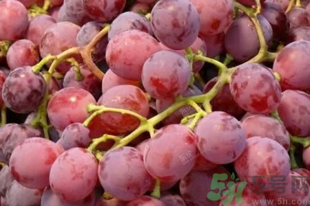 吃紅提有什么好處?吃紅提的功效與作用 吃紅提有什么好處?吃紅提的功效與作用