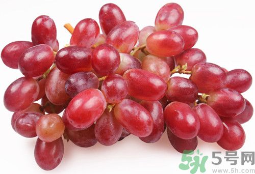 吃紅提有什么好處?吃紅提的功效與作用 吃紅提有什么好處?吃紅提的功效與作用