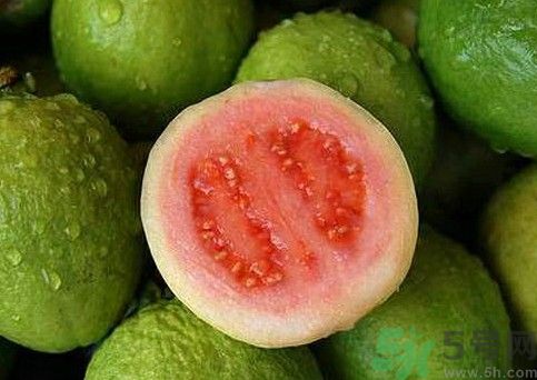 石榴和番石榴一樣嗎?石榴和番石榴的區(qū)別 石榴和番石榴一樣嗎?石榴和番石榴的區(qū)別