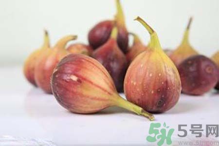 胃不好可以吃無花果嗎？胃不好吃無花果好嗎？