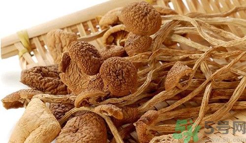 產(chǎn)婦能不能吃茶樹菇?產(chǎn)婦吃茶樹菇會回奶嗎 產(chǎn)婦能不能吃茶樹菇?產(chǎn)婦吃茶樹菇會回奶嗎