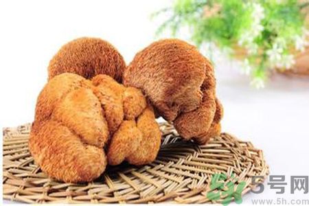  哺乳期可以吃猴頭菇嗎？產(chǎn)婦可以吃猴頭菇嗎？