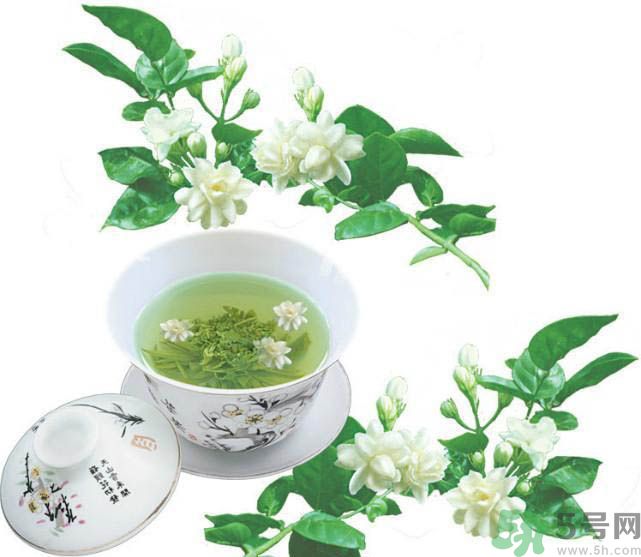 喝茉莉花茶會過敏嗎？喝茉莉花茶過敏了怎么辦？