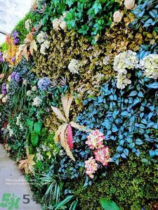 寵愛(ài)之名寵愛(ài)女孩面膜怎么樣？寵愛(ài)女孩礦物云絲面膜好用嗎？