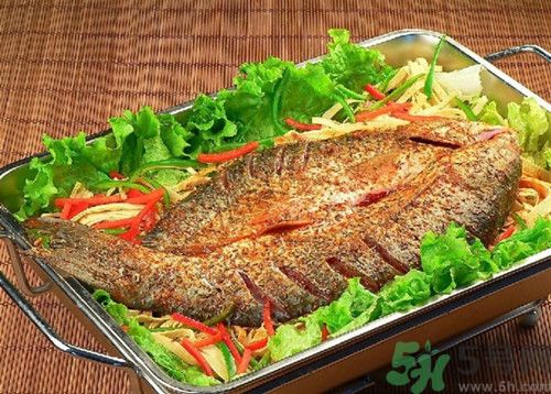 孕婦可以吃黑魚嗎?孕婦吃黑魚有什么好處 孕婦可以吃黑魚嗎?孕婦吃黑魚有什么好處