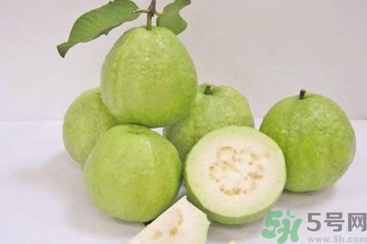 吃番石榴會胖嗎?番石榴吃了有什么好處 吃番石榴會胖嗎?番石榴吃了有什么好處