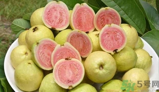 吃番石榴會(huì)便秘嗎?番石榴怎么吃不便秘 吃番石榴會(huì)便秘嗎?番石榴怎么吃不便秘