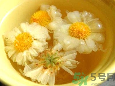 女生可以喝什么茶排毒養(yǎng)顏？女生喝什么茶可以美容？