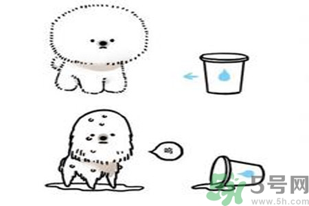 虛胖和真胖有什么區(qū)別？虛胖和真胖怎么區(qū)別？