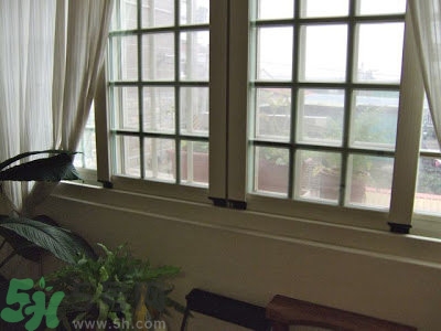 房間潮濕怎么辦？房間潮濕如何解決？