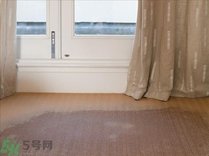 房間潮濕怎么辦？房間潮濕如何解決？