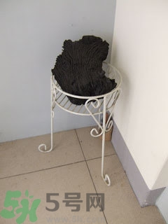 房間潮濕怎么辦？房間潮濕如何解決？