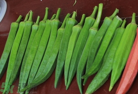 感冒可以吃秋葵嗎？吃秋葵可以治感冒嗎？