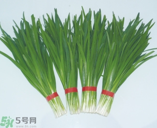 吃韭菜會(huì)拉肚子嗎?吃韭菜拉肚子怎么回事 吃韭菜會(huì)拉肚子嗎?吃韭菜拉肚子怎么回事