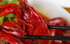 臟水里的龍蝦能吃嗎?臟水里的龍蝦可以吃嗎? 臟水里的龍蝦能吃嗎?臟水里的龍蝦可以吃嗎?