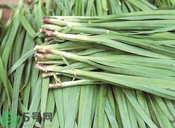 隔夜的韭菜能吃嗎?隔夜的韭菜吃了會(huì)怎么樣 隔夜的韭菜能吃嗎?隔夜的韭菜吃了會(huì)怎么樣