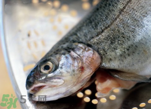 隔夜的魚能吃嗎?隔夜的魚可以吃嗎? 隔夜的魚能吃嗎?隔夜的魚可以吃嗎?