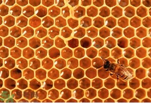 蜂蜜放久了有酒味是怎么回事？蜂蜜有酒味還能喝嗎？