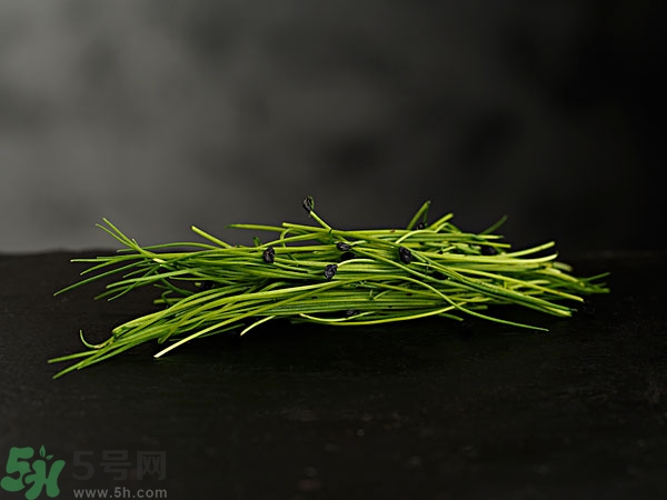 吃韭菜會(huì)燒心嗎？吃韭菜燒心怎么辦？