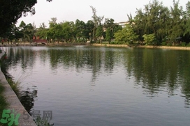 水漬險承保范圍是什么,水漬險的責任范圍 水漬險承保范圍是什么,水漬險的責任范圍