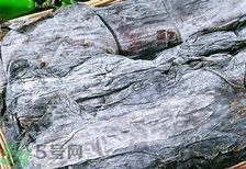 海帶發(fā)白還能吃嗎?海帶發(fā)白可以吃嗎? 海帶發(fā)白還能吃嗎?海帶發(fā)白可以吃嗎?