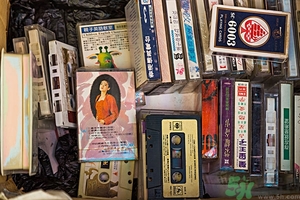 家里有跳蚤怎么快速去除？屋里有跳蚤怎么消滅掉？