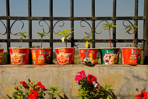 吃方便面會發(fā)胖嗎？吃方便面有什么壞處？