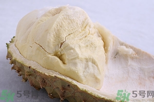 榴蓮能放冰箱嗎？榴蓮放在冰箱能保存幾天？