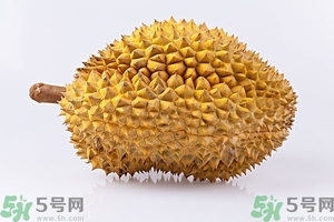 榴蓮能放冰箱嗎？榴蓮放在冰箱能保存幾天？