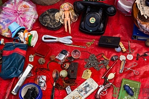 家里有跳蚤怎么快速去除？屋里有跳蚤怎么消滅掉？