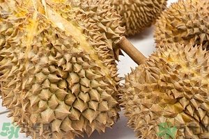 榴蓮能放冰箱嗎？榴蓮放在冰箱能保存幾天？