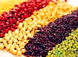 黃豆和黑豆可以一起煮嗎?黃豆和黑豆一起打漿可以嗎 黃豆和黑豆可以一起煮嗎?黃豆和黑豆一起打漿可以嗎