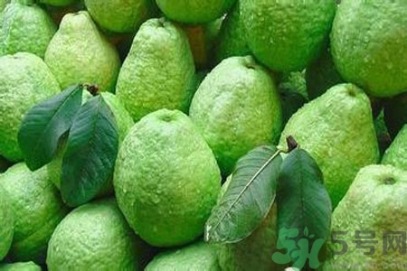 吃番石榴可以減肥嗎？怎么吃番石榴可以減肥？