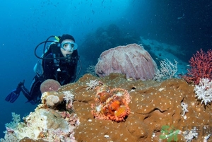 經(jīng)期可以潛水嗎？來(lái)例假可以潛水嗎？