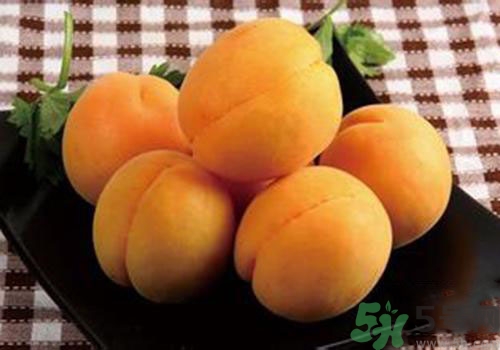 杏子是熱性還是涼性？杏子是涼性的嗎？