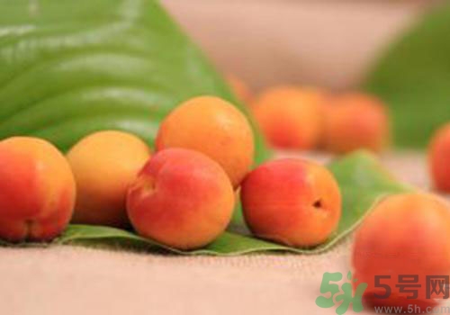 杏子是不是發(fā)物？杏子是發(fā)物嗎？