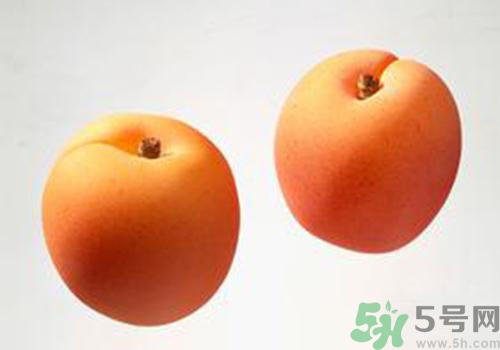 杏子是酸性還是堿性？杏子是酸性的嗎？