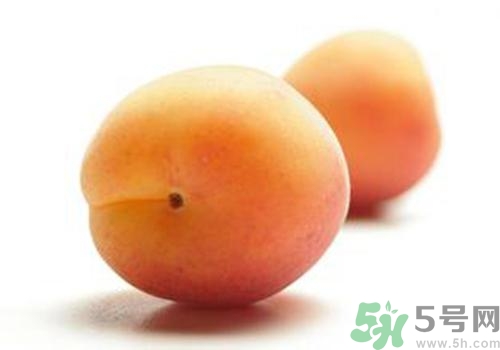 杏子是酸性還是堿性？杏子是酸性的嗎？