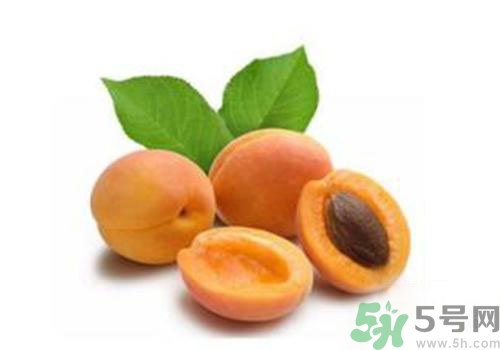 杏子上有黑點(diǎn)是怎么回事？杏子上有斑點(diǎn)可以吃嗎？