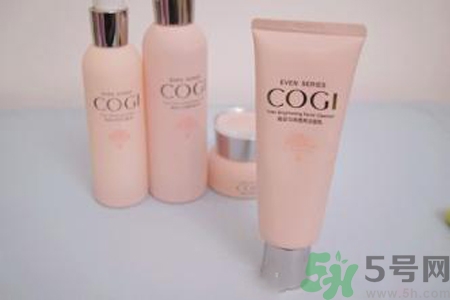 高姿大白水多少錢？高姿大白水適合什么年齡？