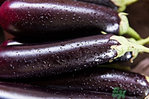 吃茄子有什么壞處？吃茄子的禁忌有哪些？